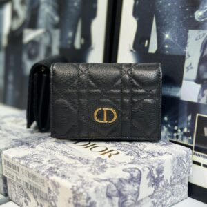 Dior Caro Glycine 지갑